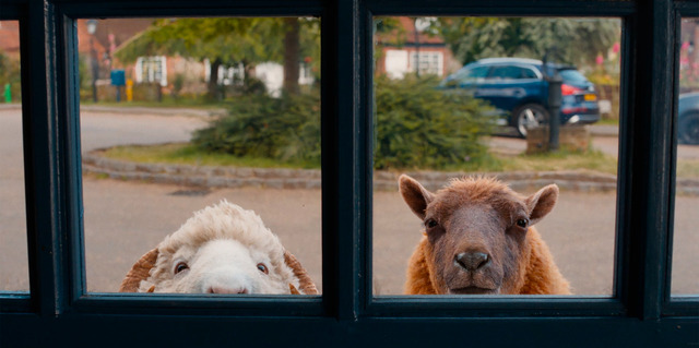 『ひつじ探偵団』