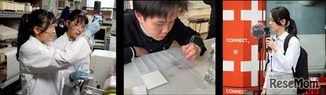 参加者は、ファッション、食、音、デザイン、ワカメ、昆虫、酵素などそれぞれの「好き」を追求