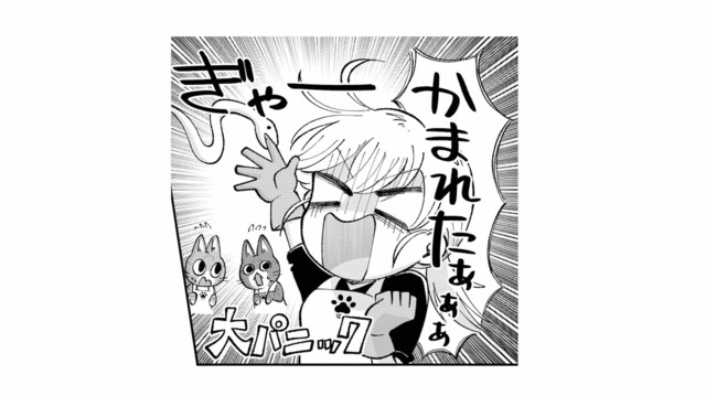 蛇に噛まれて大パニック！逃げられちゃう!? 飼い主のアドバイス通りにしてみると…【家政婦よんだら猫がきた #20】