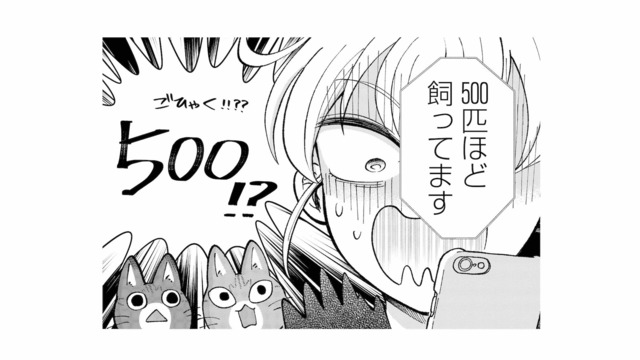 生きたネズミ500匹!? 5日間放置されたラスボス部屋にいざ突撃！【家政婦よんだら猫がきた #21】