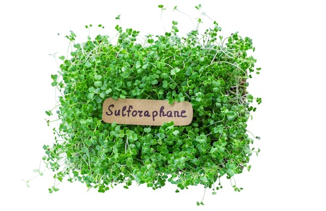 血糖値が10％ダウン、肝臓の数値も10％以上改善。エビデンスが証明するスーパー野菜「ブロッコリースプラウト」の実力とは【お茶の水女子大 食物栄養学科教授が解説】