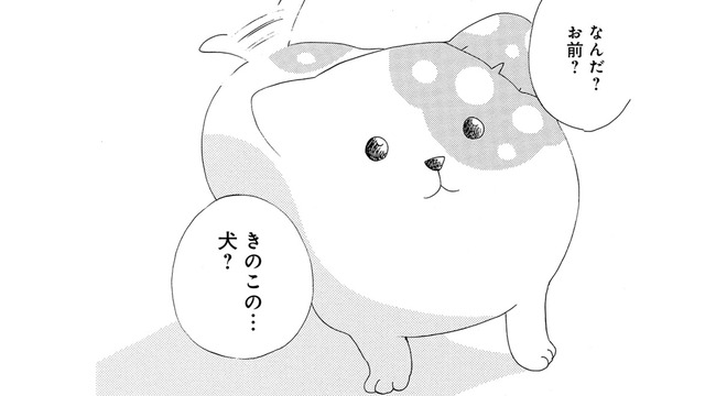 「妖怪？それとも妖精？」きのこの下から現れたのは、犬みたいな謎の生き物だった【きのこいぬ #２】