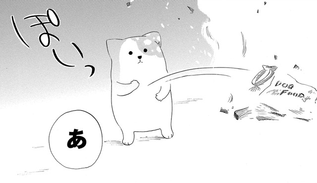 亡き愛犬の首輪が燃えてしまった…だけど、胸につかえていた後悔も、一緒に消えていくようで【きのこいぬ #４】