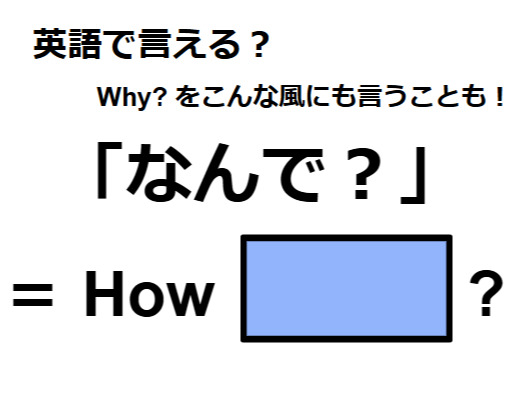 英語で「なんで？」は何て言う？