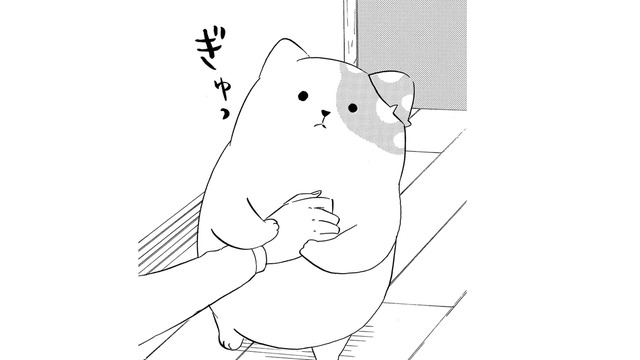 「好きだから」気持ちを伝えるきのこいぬ…だけど、その本心はうまく伝わらなくて【きのこいぬ #９】