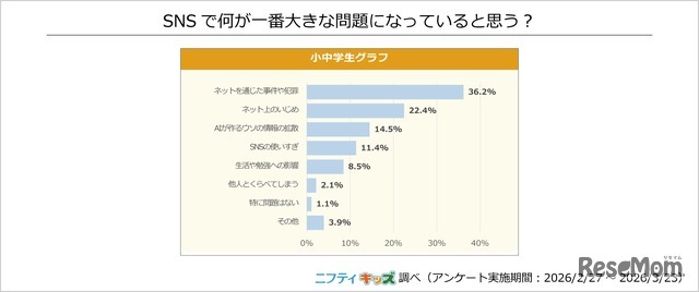 SNSで何が一番大きな問題になっていると思う？