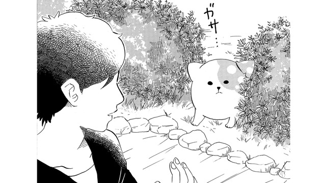 「絶対出てきちゃダメだぞ」言い聞かせたのに、庭に出てきてしまったきのこいぬ【きのこいぬ #14】