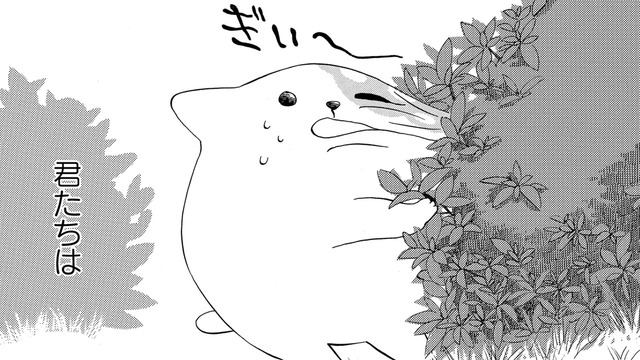 君の存在が、僕を笑顔にする…無邪気な行動の一つひとつがいとおしくて【きのこいぬ #15】