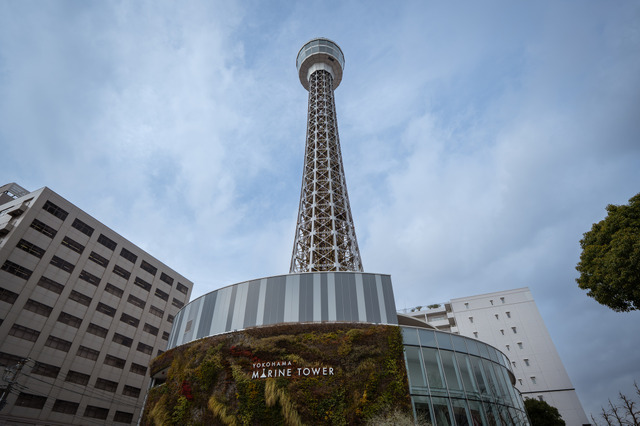 『ラプソディ・ラプソディ』©2026 利重 剛