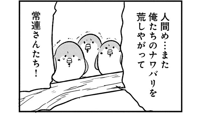 「縄張りを荒らしたな」掃除が気に入らない常連スズメたちが、店の中で大暴れ！【とりきっさ！ #10】