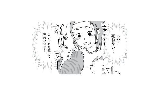 40歳独身の私が死んだら愛猫はどうなる…？「ひとりじゃ死ねない」と婚活を決意【ねこ婚 猫のための交際ゼロ日婚 #１】