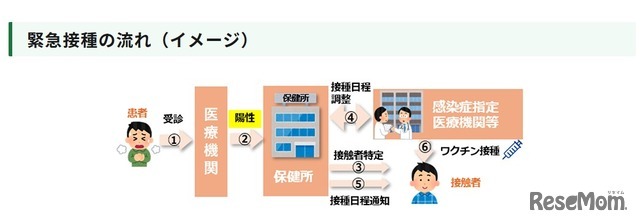 緊急接種の流れ（イメージ）