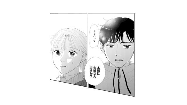 レス以外は問題ないと思っていたけれど…。「本当に夫婦なんですか？」その一言に何も言い返せない【完璧な夫には謎がある（２） #30】