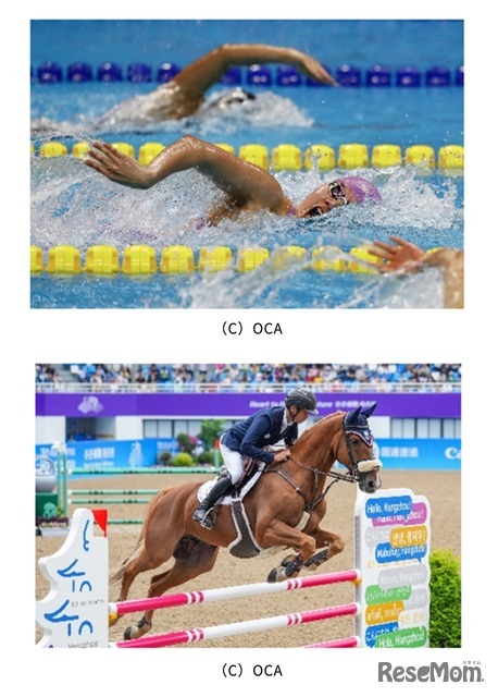 都内で開催される水泳と馬術 (c) OCA