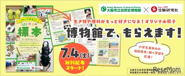 夏休みの自由研究・調べ学習を応援「つくってみよう！はじめての標本」無料冊子を配布