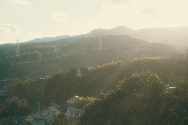 「街の呼吸と森の映画祭2026」