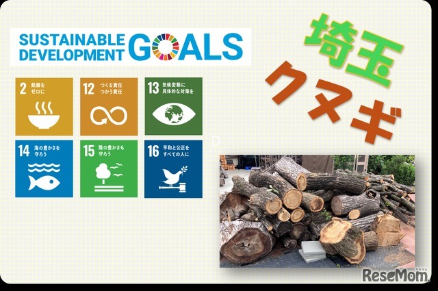 SDGsパネル展示