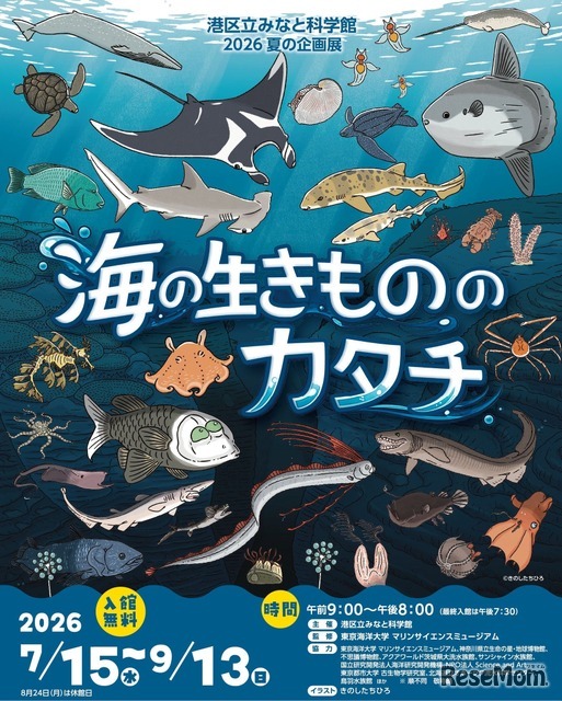2026 夏の企画展 海の生きもののカタチ
