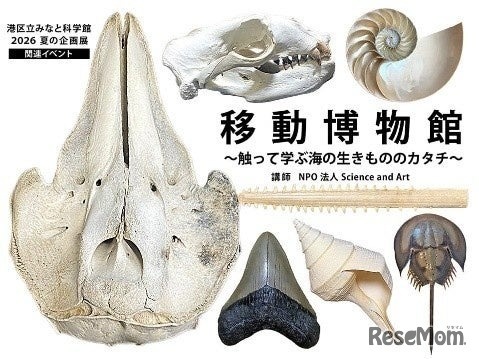 特別体験展示 移動博物館～さわって学ぶ海の生きもののカタチ