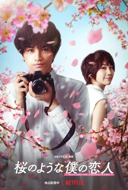 『桜のような僕の恋人』Netflix にて全世界独占配信中