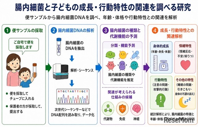 腸内細菌と子供の成長・行動特性の関連を調べる研究