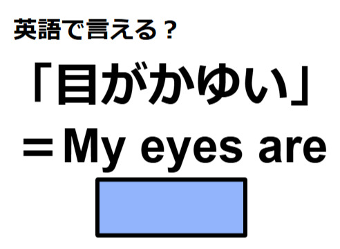 英語で「目がかゆい」は何て言う？