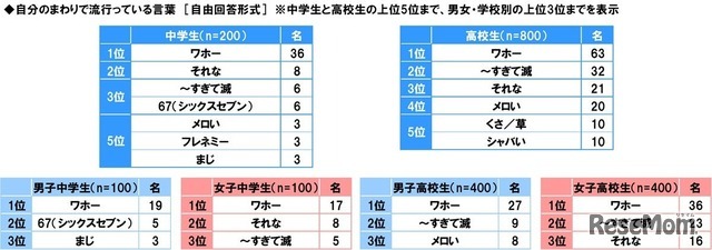 自分のまわりで流行っている言葉