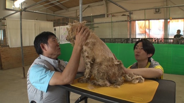 相葉雅紀、森保一監督（C）日本テレビ