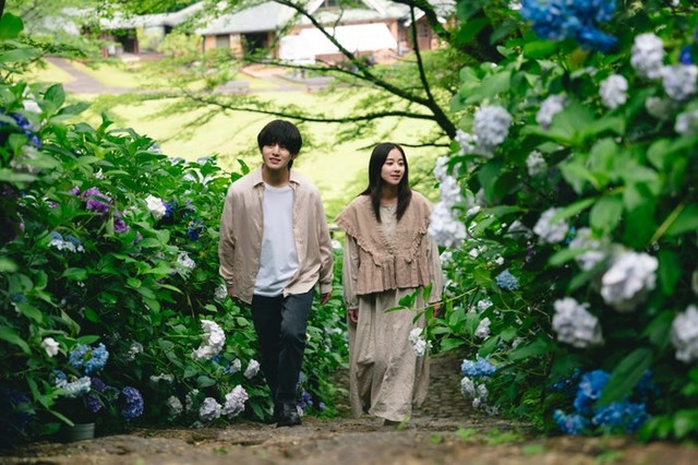 山田涼介、堀田真由「一次元の挿し木」第6話（C）松下龍之介／宝島社／ytv