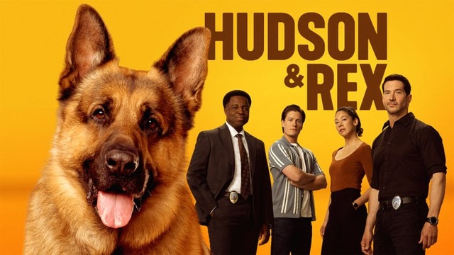 「ハドソン＆レックス～セントジョンズ警察シェパード犬刑事」（C）2025 Shaftesbury Rex VIII Inc. Pope Rex Season 8 Inc.