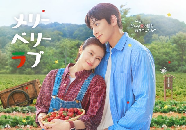 「メリーベリーラブ」キービジュアル（C）日本テレビ