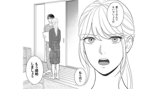 夫が今でも想い続けている女性の正体が判明！ PCに隠し持っていた写真とともに離婚を突きつける！【カントリークラッシャー #16】