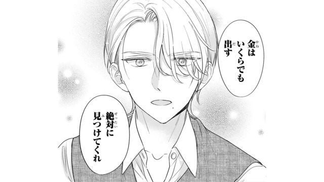 「金はいくらでも出す」手がかりの少ない女性を何としても見つけたい御曹司【嘘婚ロマン #13】