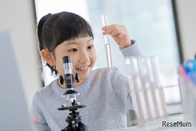 026年の夏休みの自由研究に関する意識調査