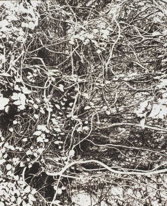 市川孝典、個展「FLEETING DAYS」10月7日より渋谷・NONLECTURE book/artsで開催