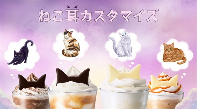 ねこ耳カスタマイズ（提供写真）