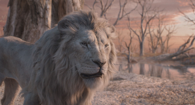 『ライオン・キング：ムファサ』© 2024 Disney Enterprises, Inc.
