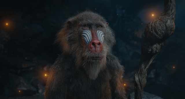 『ライオン・キング：ムファサ』© 2024 Disney Enterprises, Inc.