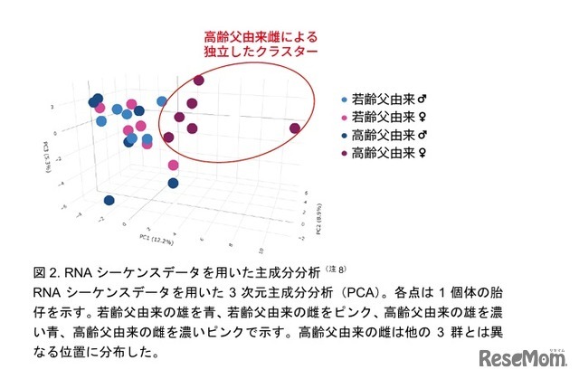 RNAシーケンスデータを用いた主成分分析