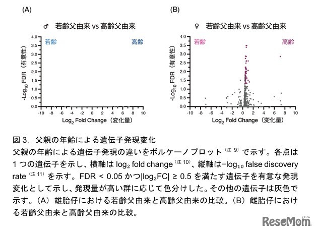 父親の年齢による遺伝子発現変化