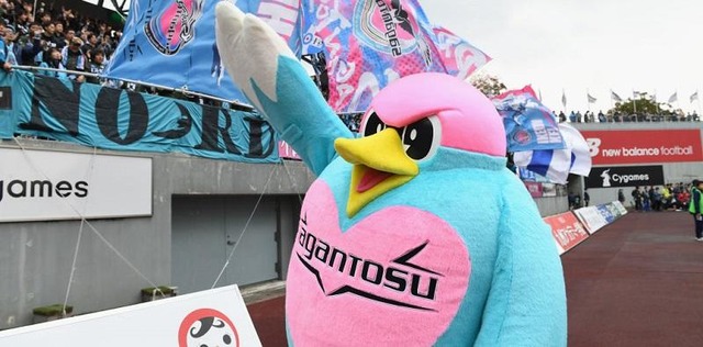 サガン鳥栖、新シーズンの背番号を発表！高橋祐治が3番、安在和樹は24番