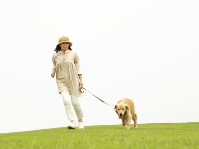 皆さんから寄せられた家計の悩みにお答えする、その名も「マネープランクリニック」。今回の相談者は、将来のマンション購入に悩む50歳の主婦の方。ファイナンシャル・プランナーの深野康彦さんが担当します。