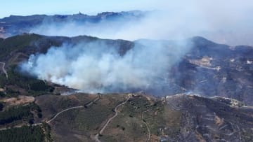 スペイン2部、山火事でも試合強行…ラスパルマスの延期要請を拒否