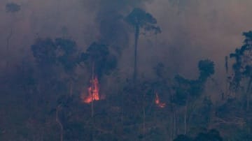 ブラジルの森林火災で試合が中断！「火が見える」衝撃映像がこれ