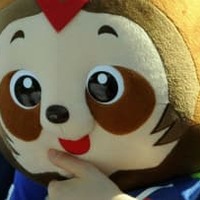 徳島ヴォルティスとアビスパ福岡、J1昇格!最終節を前に決着 画像