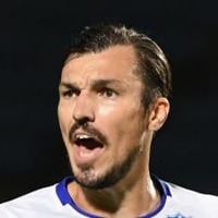 元日本代表ハーフナーマイク、「6部」にあたる東海2部クラブに加入 画像