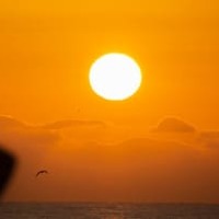 いわきFC、3.11の特別映像を公開 画像