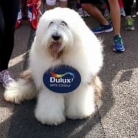 モウリーニョ監督の「…なにそれ?」リアクションが話題 新スポンサー騒動で 画像