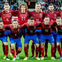 チェコ代表、EURO2020出場メンバー25名を発表!ソウチェクやダリダなど 画像