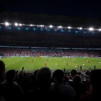 EURO2020決勝、ウェンブリーに虫の大群襲来か 画像